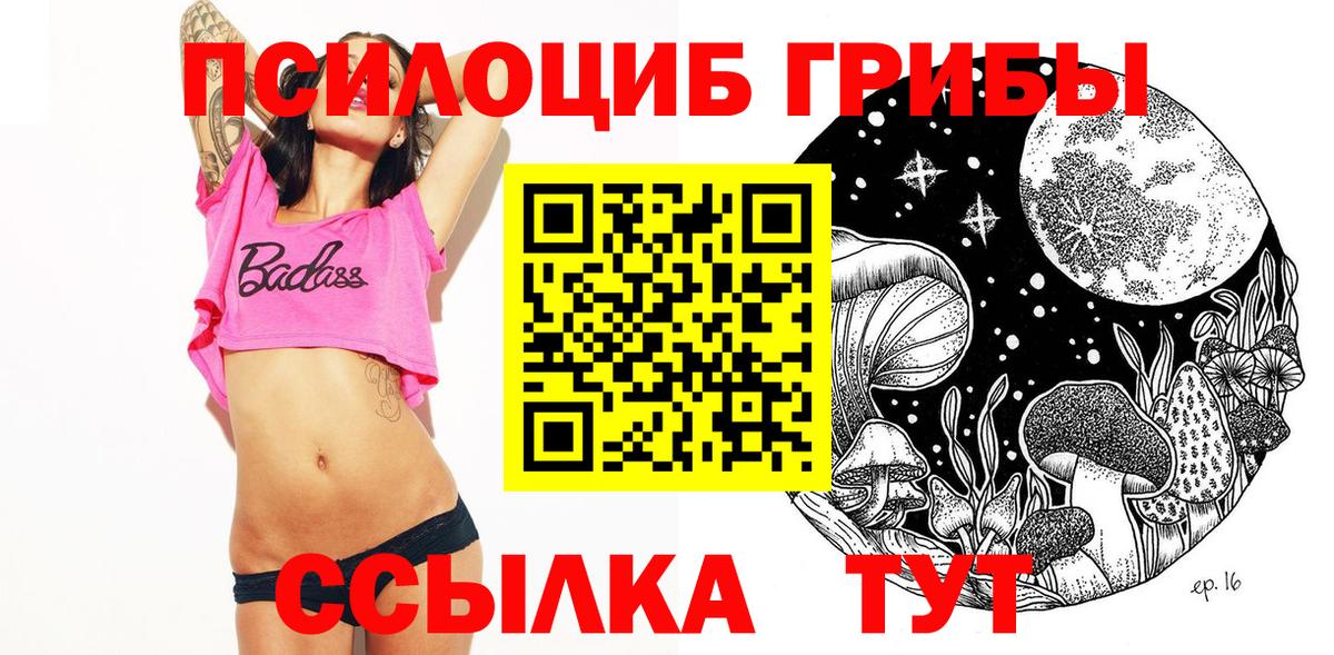 Галлюциногенные грибы Psilocybe Амурск